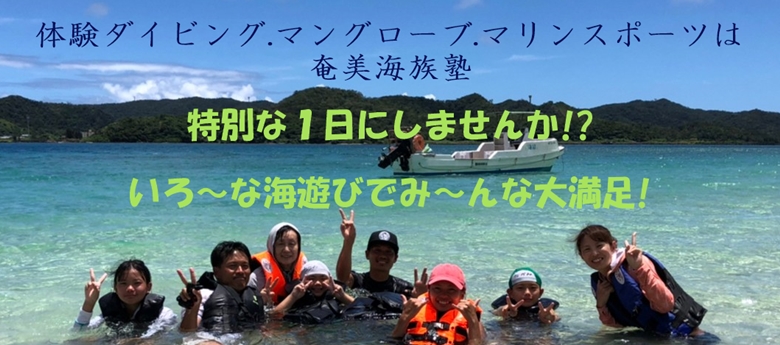 子供から大人まで楽しい